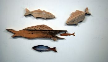 fish drama